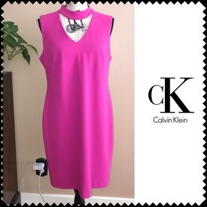 Calvin Klein Pink Dress Exposed Gold Back Zipper